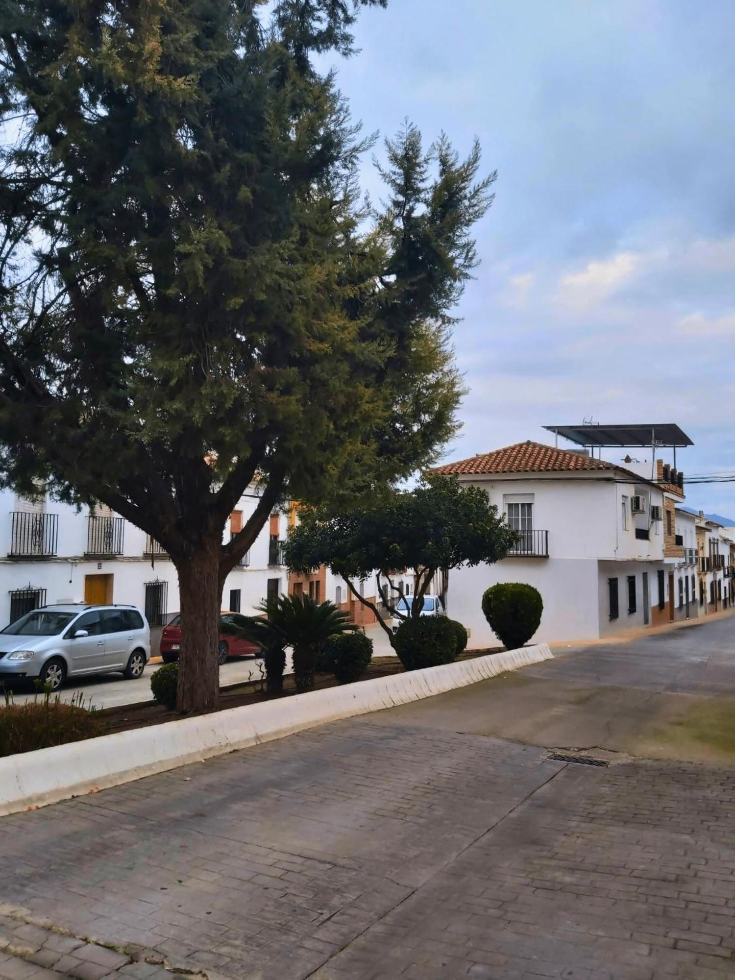 Encinas Reales Arcadia Centro De Andaluciaヴィラ エクステリア 写真